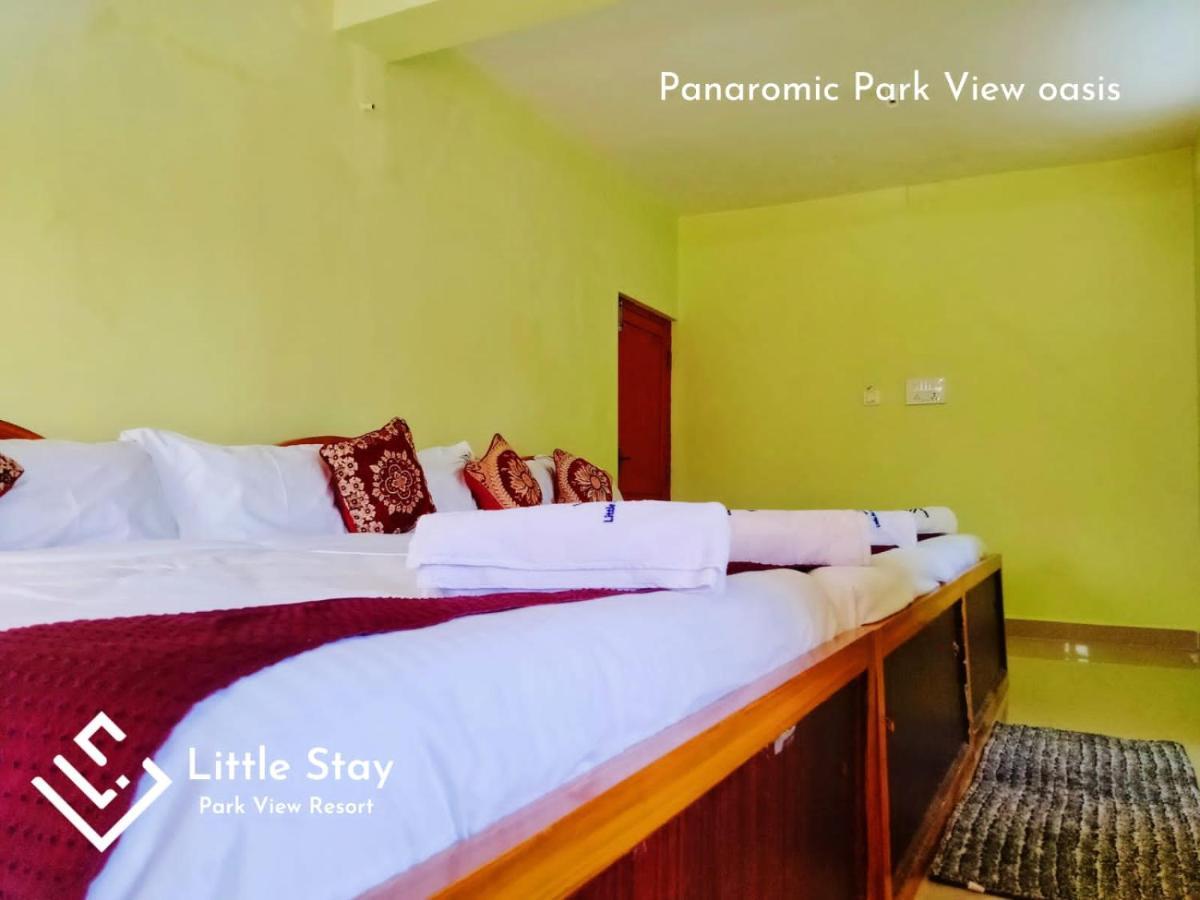Little Stay Park View 科代卡纳尔 外观 照片